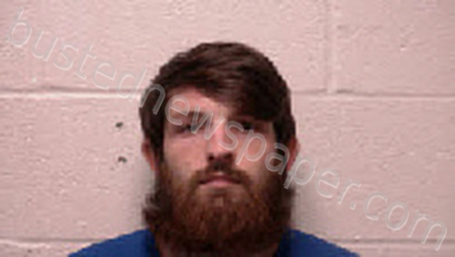 STEELE, AUSTIN JAMES #, Robertson County, Tennessee - 2025-05-30 07:58:00
