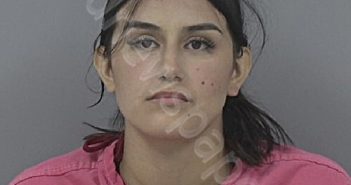 CASTILLO, MARIA | 2025-06-01 Johnston County, North Carolina Booking