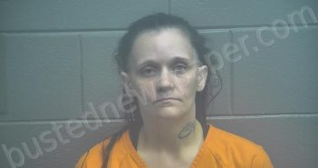 ALLEN, BROOKE ASHLEY | 2025-06-01 12:29:00 Scott County, Kentucky Booking