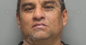 FLORES <B>RUIZ</B>, WILFREDO <B>JOSE</B> #, Lee County, Florida - 2025-06-01 04:32:00