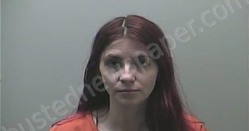 OTT, COURTNEY PAIGE | 2025-06-02 14:31:00 Midland County, Michigan Booking
