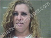 SULPIZIO, DONNA | 2025-06-03 Harnett County, North Carolina Booking
