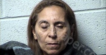 MENDEZ BAEZA, SILVIA | 2025-06-03 Chase County, Kansas Booking
