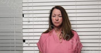 BALLARD, SHERI LYN | 2025-06-04 00:42:00 Christian County, Missouri Booking