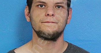 BROWN, <B>JOSHUA</B> S #, <b>Sullivan</b> County, Tennessee, Sullivan County, Tennessee - 2025-06-04 07:58:33