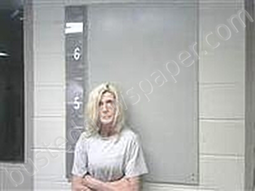 KING, MICHELLE #, Marshall County, Alabama - 2025-06-04 21:26:00