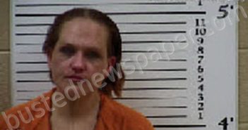 LEMON, LINDSEY ANN | 2025-06-04 10:42:00 Cherokee County, North Carolina Booking
