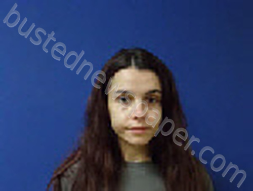 AUTRY, GINGER LEE #, Sampson County, North Carolina - 2025-06-04 22:11:00