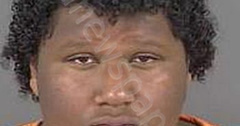 <B>JOYNER</B>,<B>KAZMIR</B> <B>LA</B> <B>BRACCIO</B> #, Collier County, Florida - 2025-06-05