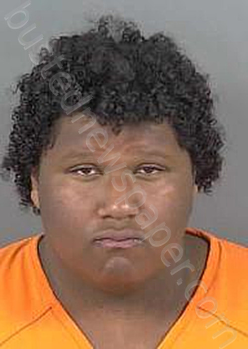 JOYNER,KAZMIR LA BRACCIO #, Collier County, Florida - 2025-06-05