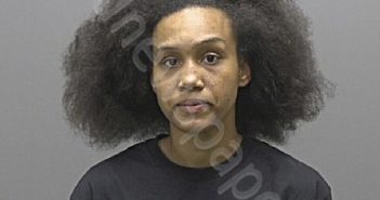 LOVE, DANA TERESA | 2025-06-05 09:37:00 Alamance County, North Carolina Booking