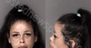 <B>AYERS</B>, <B>AMBER</B> <B>RENEE</B> #, Gaston County, North Carolina - 2025-06-06 22:03:00