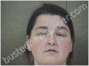 HALL, RENEE | 2025-06-07 Harnett County, North Carolina Booking