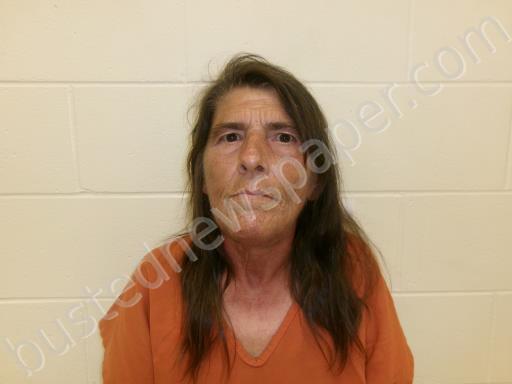 LOGAN, MELANIE JANE #, Scioto County, Ohio - 2025-06-07 23:13:00