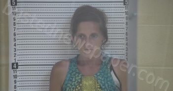 DAVIS, SHERRY N | 2025-06-07 19:43:00 Taylor County, Kentucky Booking