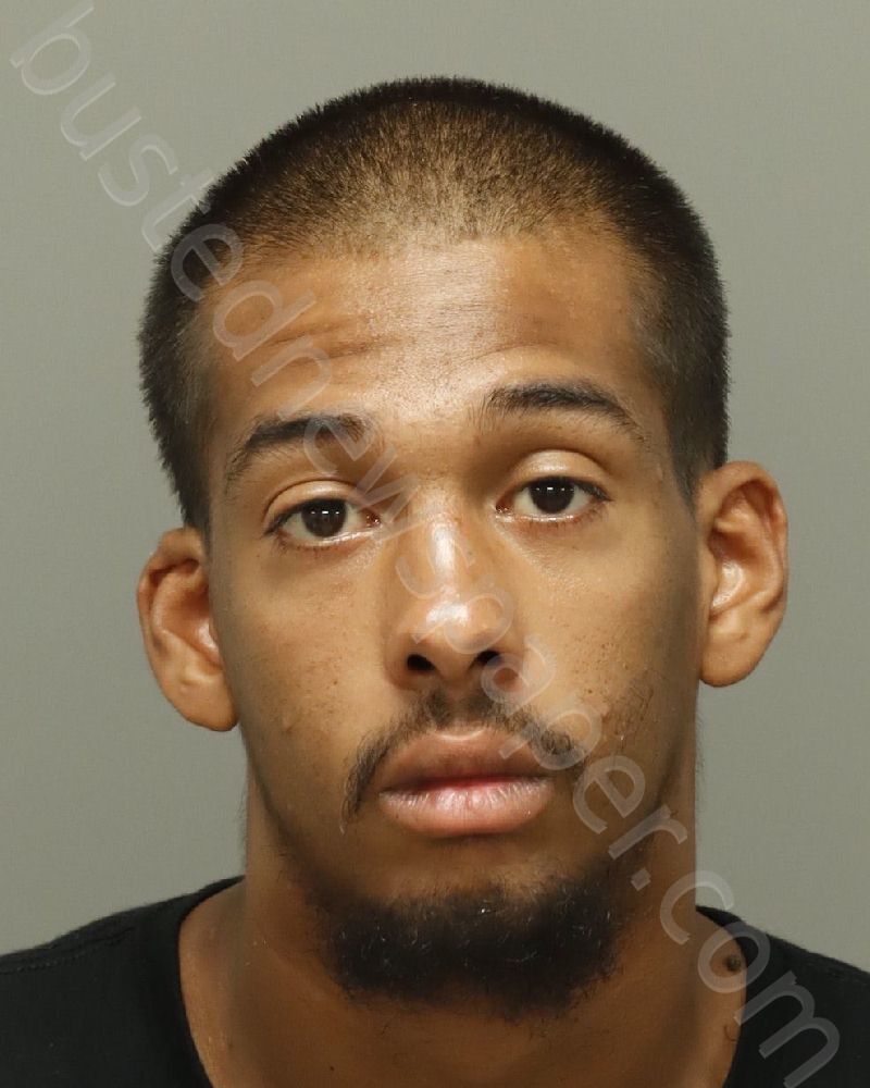 WHITE, EMERSON PATRICK #, Wake County, North Carolina - 2025-06-08 16:15:00