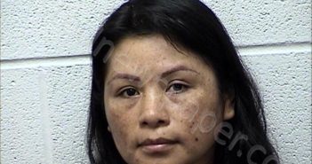 ALIAGA ALVARO, LILIANA | 2025-06-08 Chase County, Kansas Booking