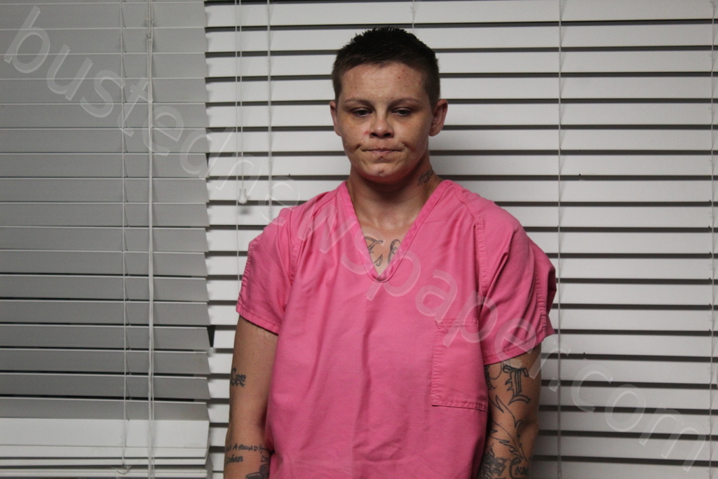 SWADLEY, STEPHANIE KAY #, Christian County, Missouri - 2025-06-08 01:05:00