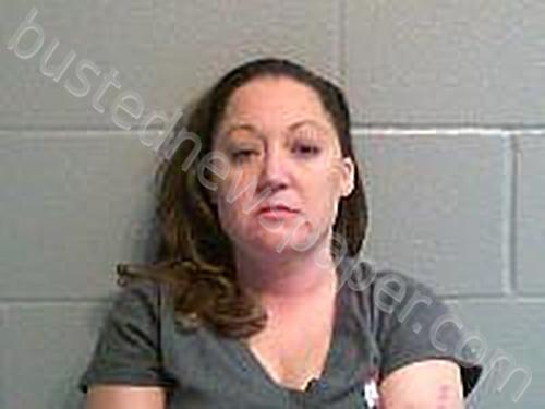 GOSS, MELISSA P #, Huron County, Ohio - 2025-06-08