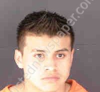 RAXA ARENALES, JAIRON | 2025-06-09 Sarasota County, Florida Booking