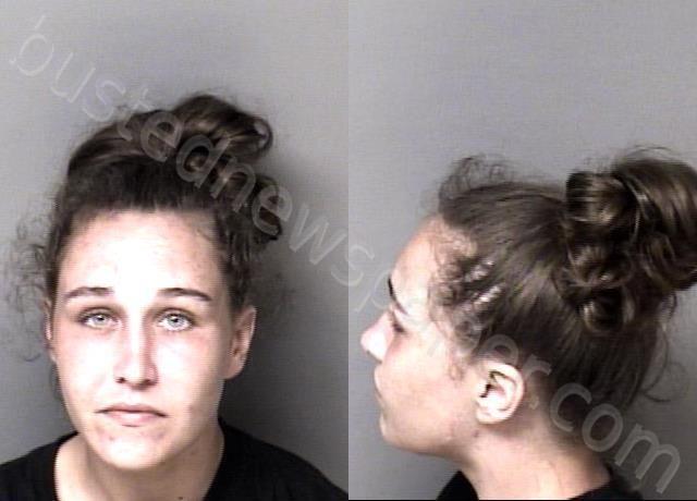 HANEY, ALEXIS LEE #, Gaston County, North Carolina - 2025-06-09 17:24:00