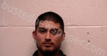 <B>ANDRADE</B> LANDA, JESUS <B>DANIEL</B> #, Robertson County, Tennessee - 2025-06-09 15:38:00