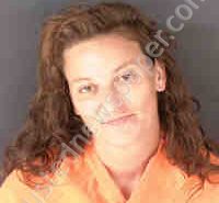 WILD, ERIN | 2025-06-09 Sarasota County, Florida Booking