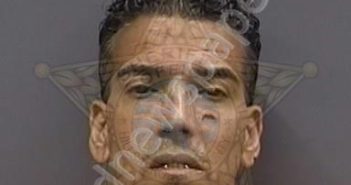 <B>LOPEZ</B>,<B>MANUEL</B> JR #, Hillsborough County, Florida - 2025-06-10 16:46:00