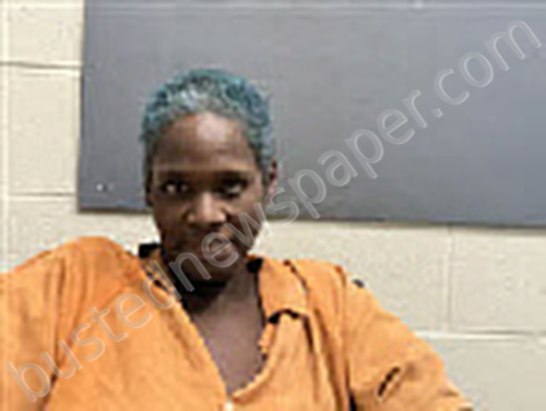 SNELL, LATIVIA TIJUAN #, Houston County, Alabama - 2025-06-10 18:10:00