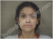 RODRIGUEZ, SAMANTHA | 2025-06-11 Harnett County, North Carolina Booking