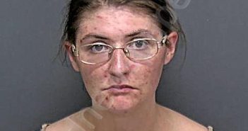 THAYER, ANASTASIA NICOLE | 2025-06-12 19:43:25 Adams County, Indiana Booking