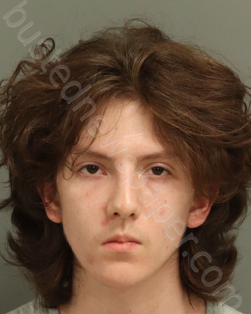 CASTILLO-SALAZAR, VICTOR ALFO #, Wake County, North Carolina - 2025-06-12 23:38:00