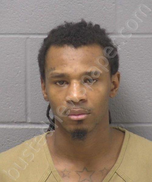 ELLIS, CHRISTOPHER J #, Will County, Illinois - 2025-06-12 19:29:00