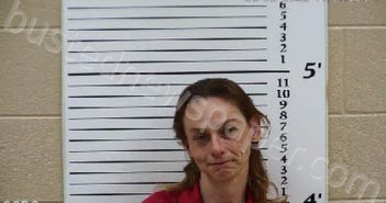 BROWN, CLARA BETH CHRISTINE | 2025-06-12 14:29:00 Cherokee County, North Carolina Booking