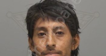 BAUTISTA <B>GUZMAN</B>, GAMALIEL #, <b>Lee</b> County, Florida, Lee County, Florida - 2025-06-12 00:40:00