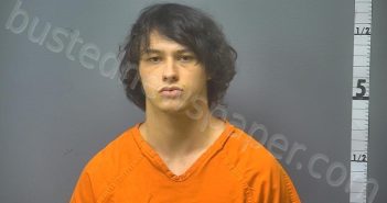 GARRISON, BRANDON DOSH | 2025-06-14 04:12:00 Middle River, Virginia Booking