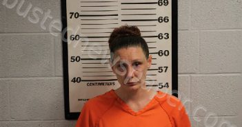 RIDDELL, SARAH ELIZABETH | 2025-06-14 19:53:00 Jackson County, North Carolina Booking