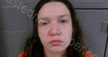 ROLLYSON, JASMINE SUE | 2025-06-15 01:40:00 Preston County, West Virginia Booking