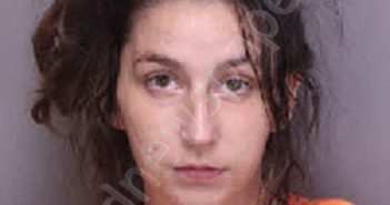 EVANS, COURTNEY GRACE | 2025-06-16 18:28:00 Florence County, South Carolina Booking