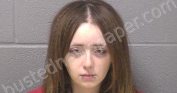 STELZNER, MIA A | 2025-06-16 09:11:00 Will County, Illinois Booking