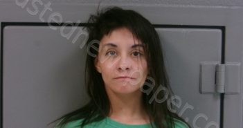 HAMPTON, ANGELIQUE SOPHIE | 2025-06-17 01:30:00 Preston County, West Virginia Booking