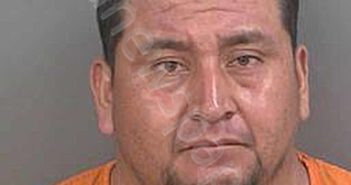 ROSASLOPEZ,PEDRO | 2025-06-17 Collier County, Florida Booking