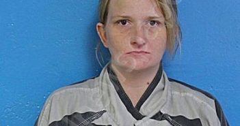 CHAMBERS, APRIL BERNICE | 2025-06-18 16:16:00 Sullivan County, Tennessee Booking