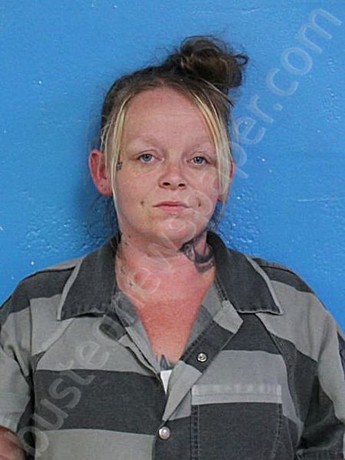 GILLENWATER, JULIE ANNA #, Sullivan County, Tennessee - 2025-06-18 08:20:00