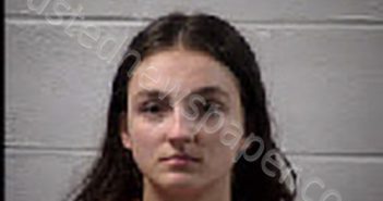 VERSLUYS, SIDNEY MARIE | 2025-06-19 20:00:00 Transylvania County, North Carolina Booking