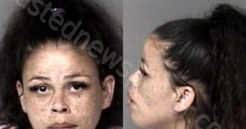 <B>AYERS</B>, <B>AMBER</B> <B>RENEE</B> #, Gaston County, North Carolina - 2025-06-20 22:11:00