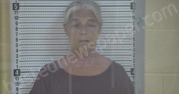 GADDIS, DIANA | 2025-06-20 12:56:00 Taylor County, Kentucky Booking