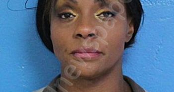 YOUNG, BRIDGETTE YVETTE | 2025-06-20 15:14:00 Sullivan County, Tennessee Booking