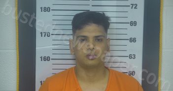 ROMERO-PEREZ, LUIS ALFREDO | 2025-06-20 21:02:00 Ottawa County, Ohio Booking