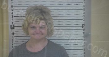 EMBRY, SHEENA | 2025-06-20 13:26:00 Taylor County, Kentucky Booking
